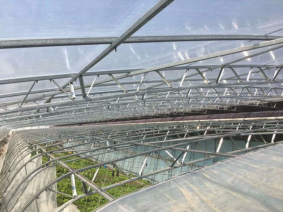 陽(yáng)光板（pc）溫室